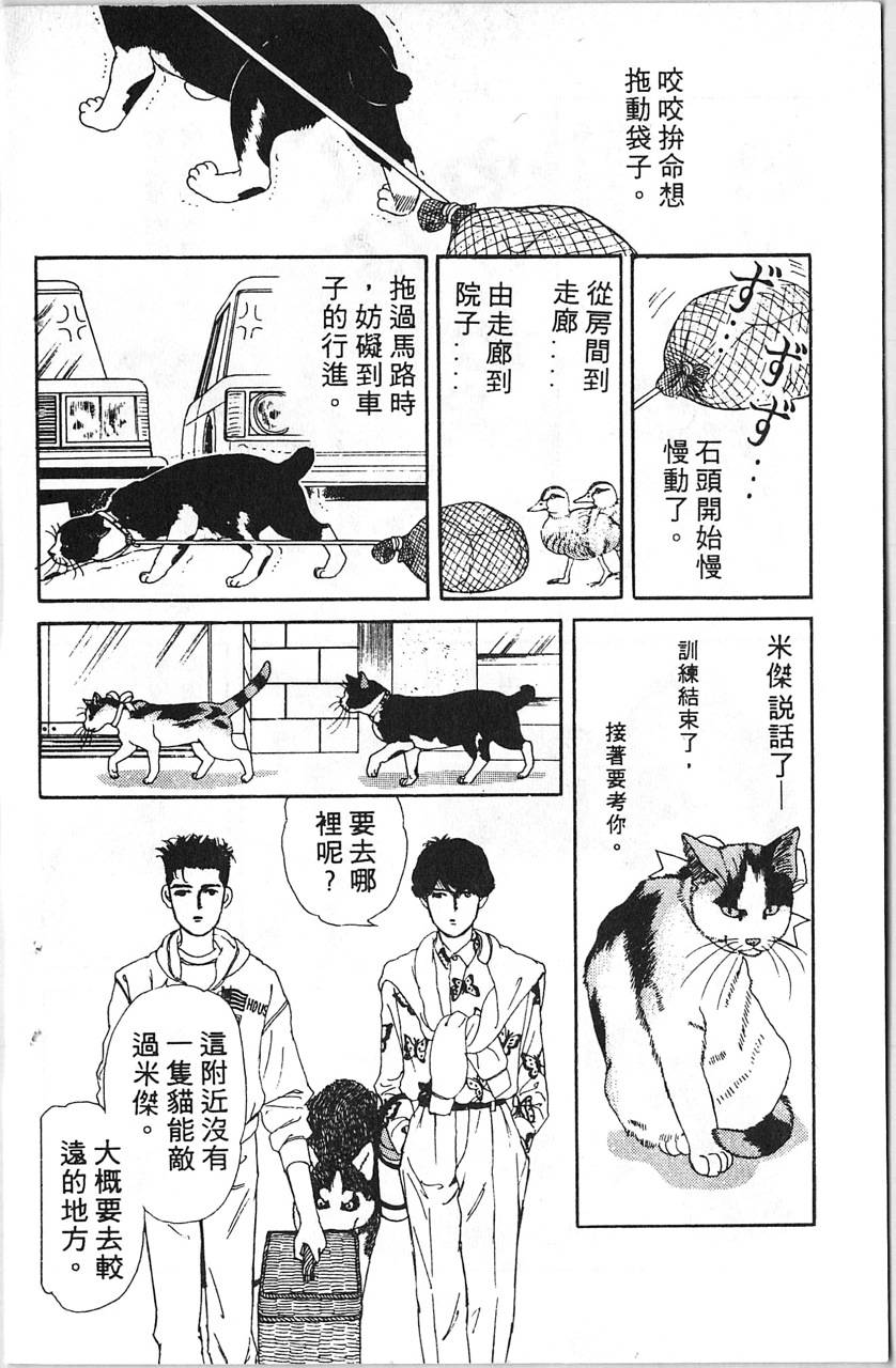 爱心动物医生第5卷图