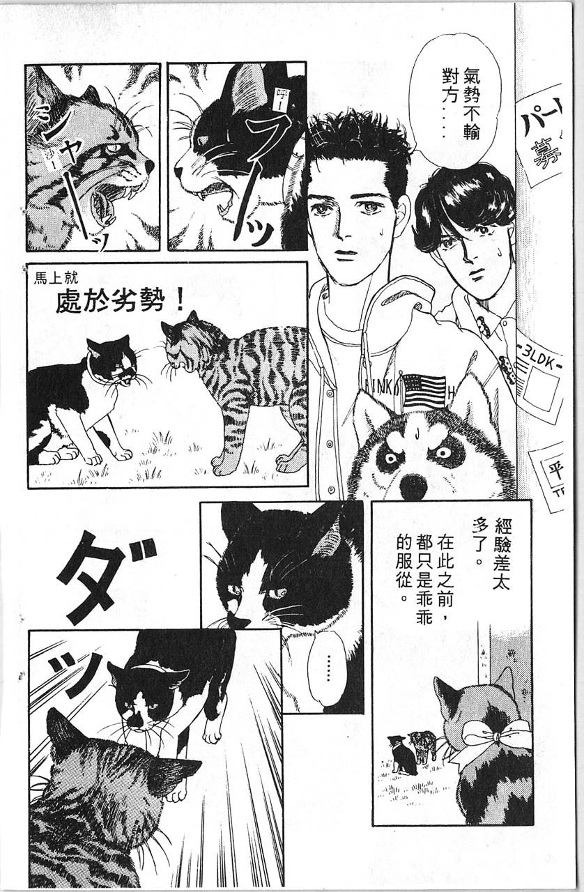 爱心动物医生第5卷图