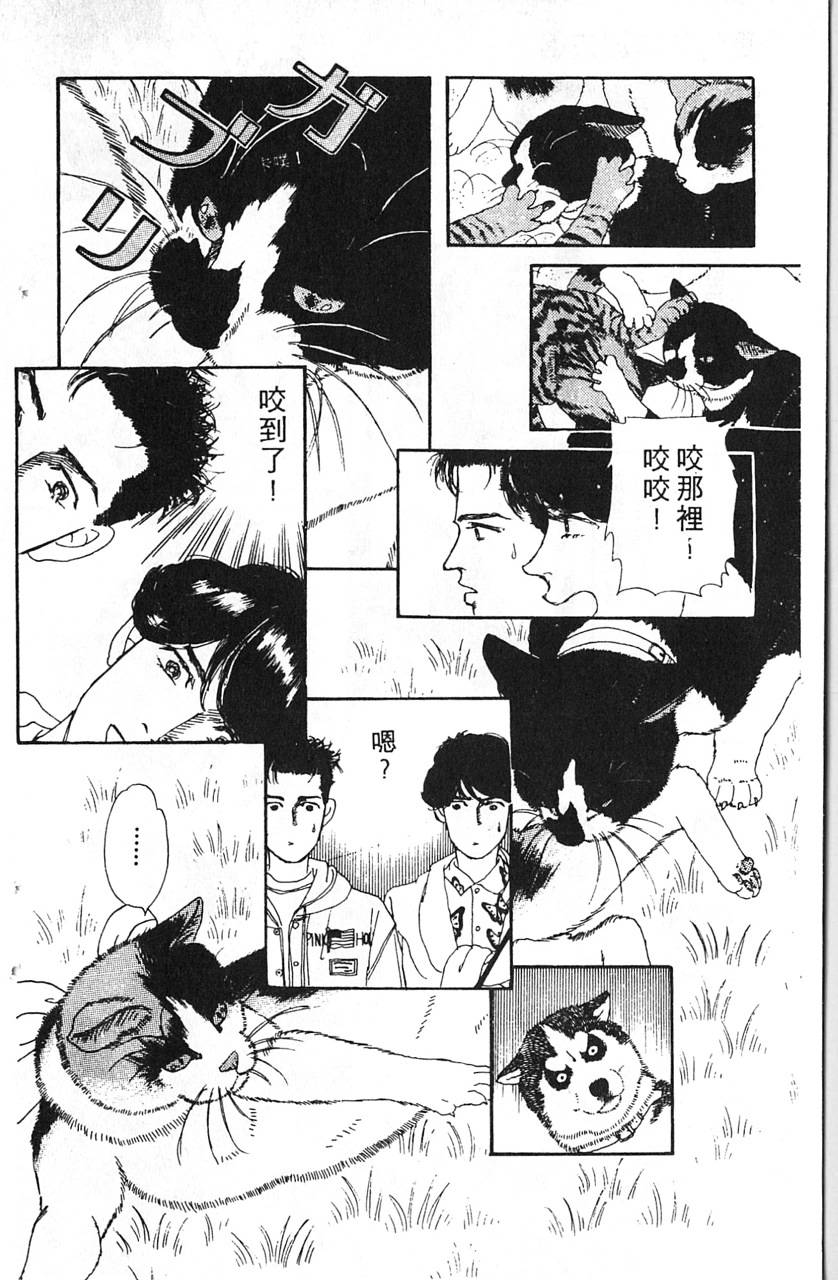 爱心动物医生第5卷图