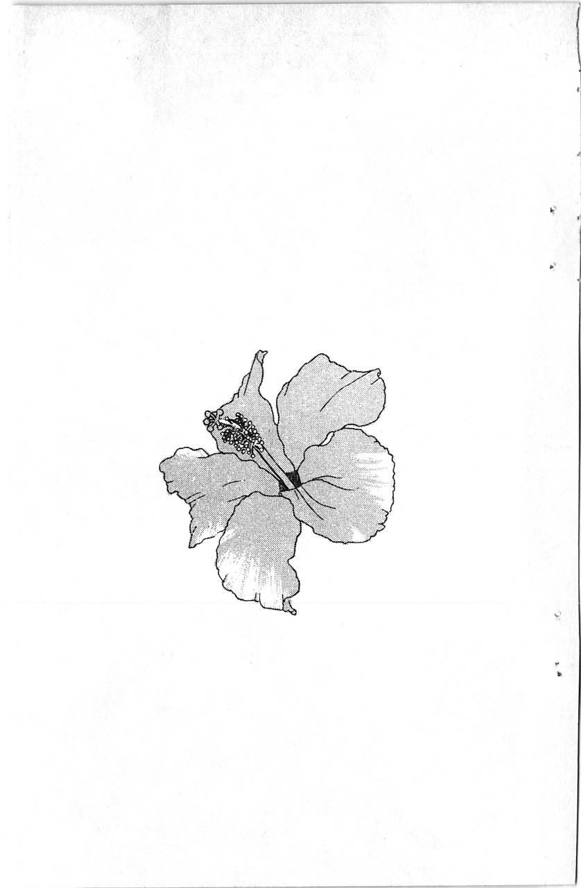 爱心动物医生第5卷图