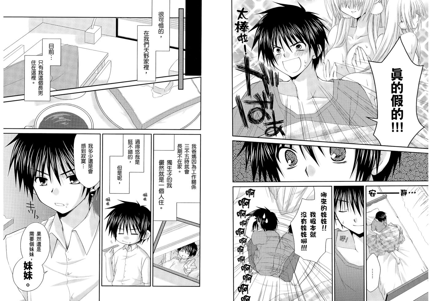 翱翔天际的3种方法 第1卷 第4页