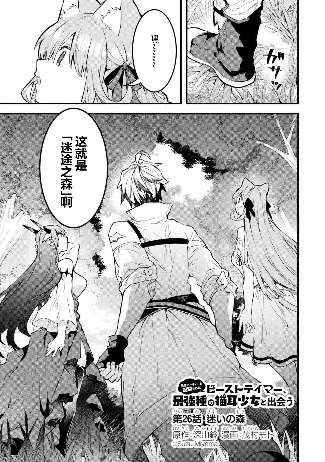 被勇者队伍开除的驭兽使、邂逅了最强种的猫耳少女第26话图