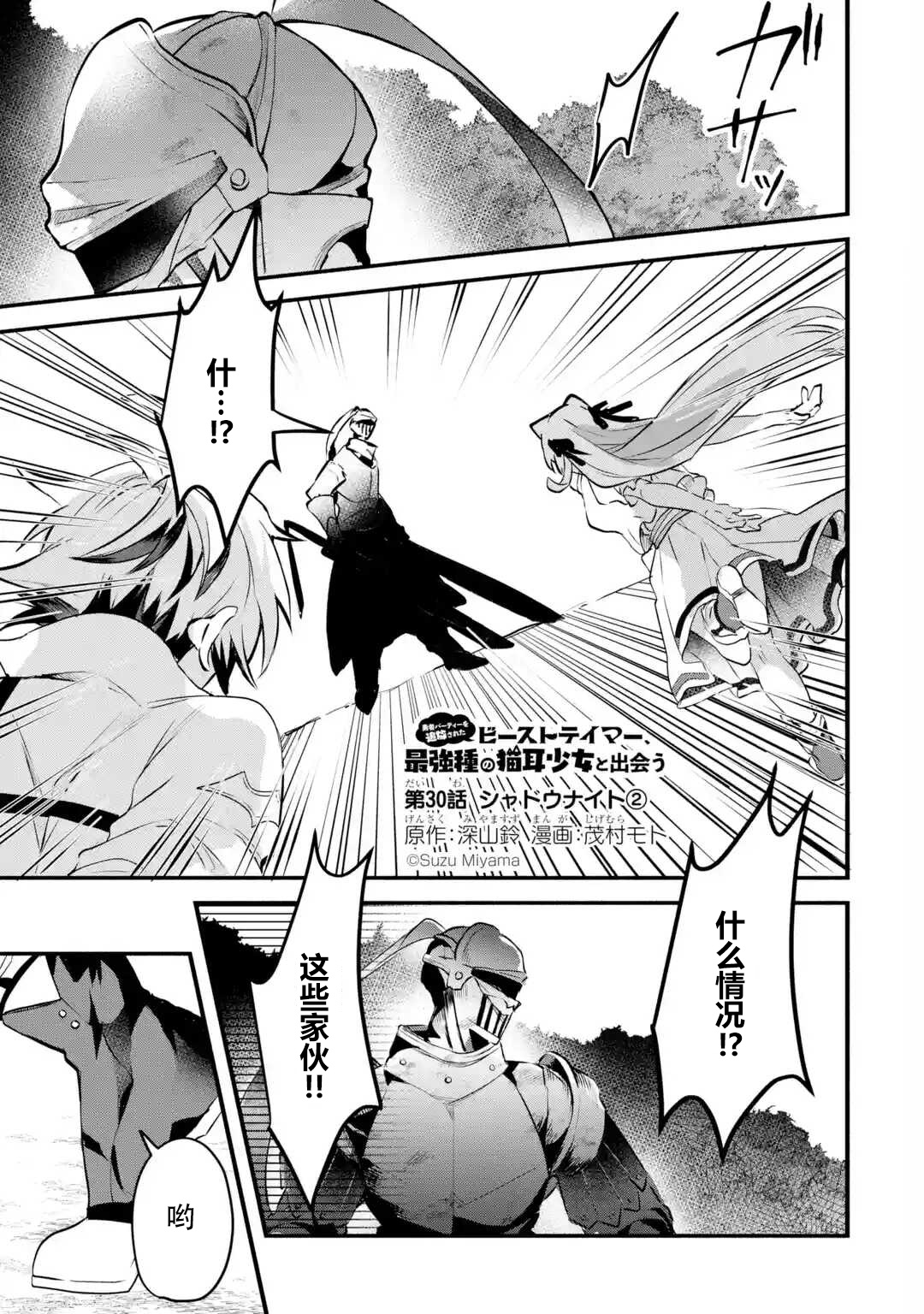 被勇者队伍开除的驭兽使、邂逅了最强种的猫耳少女第30话图