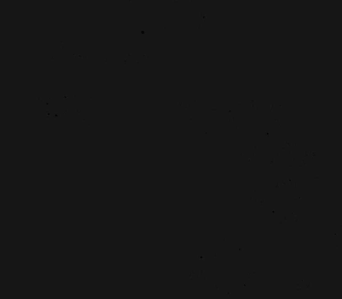 不夜城（共2季） 第139话 第3页