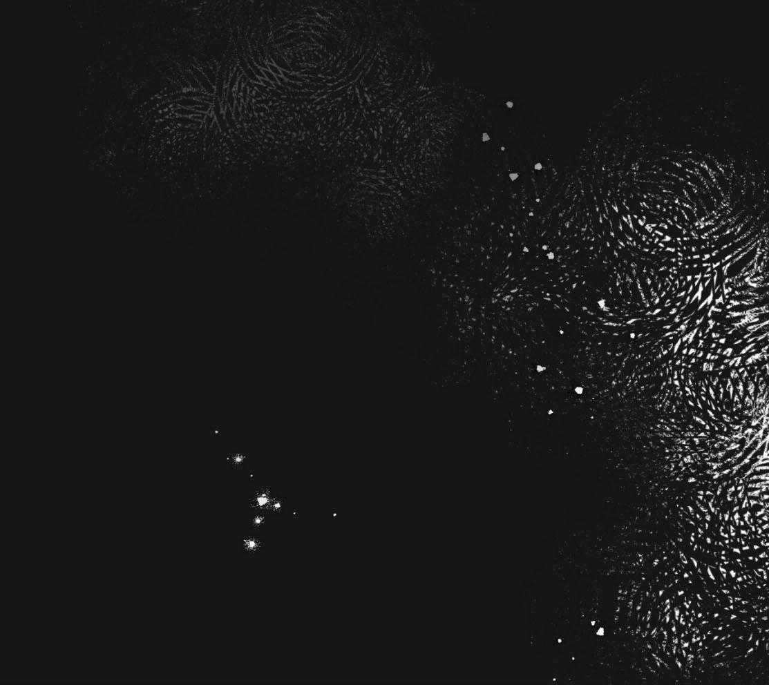 不夜城（共2季）第139话图