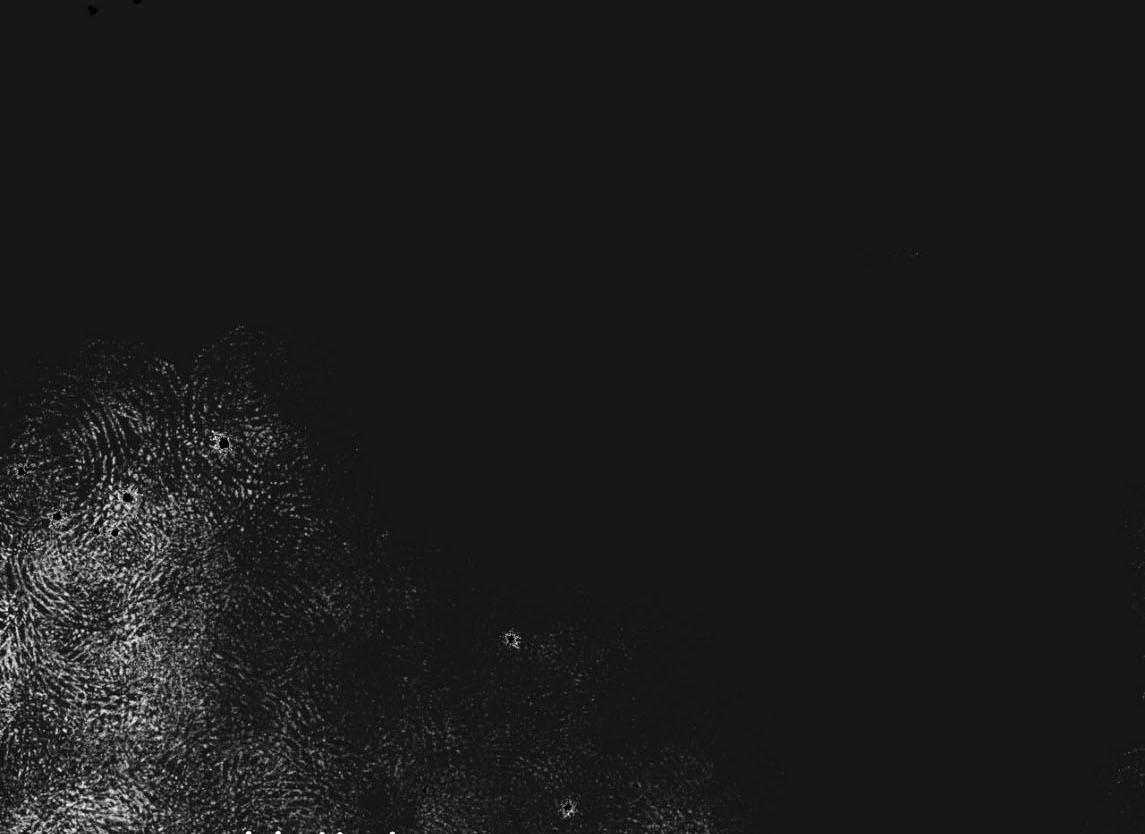 不夜城（共2季） 第143话 第0页