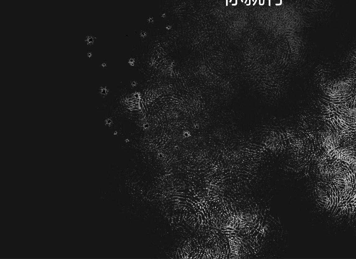 不夜城（共2季） 第143话 第2页