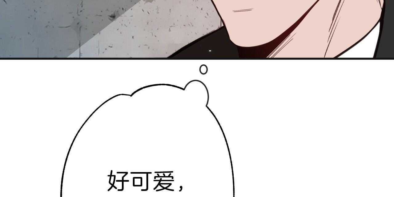 不夜城（共2季） 第17话 第45页