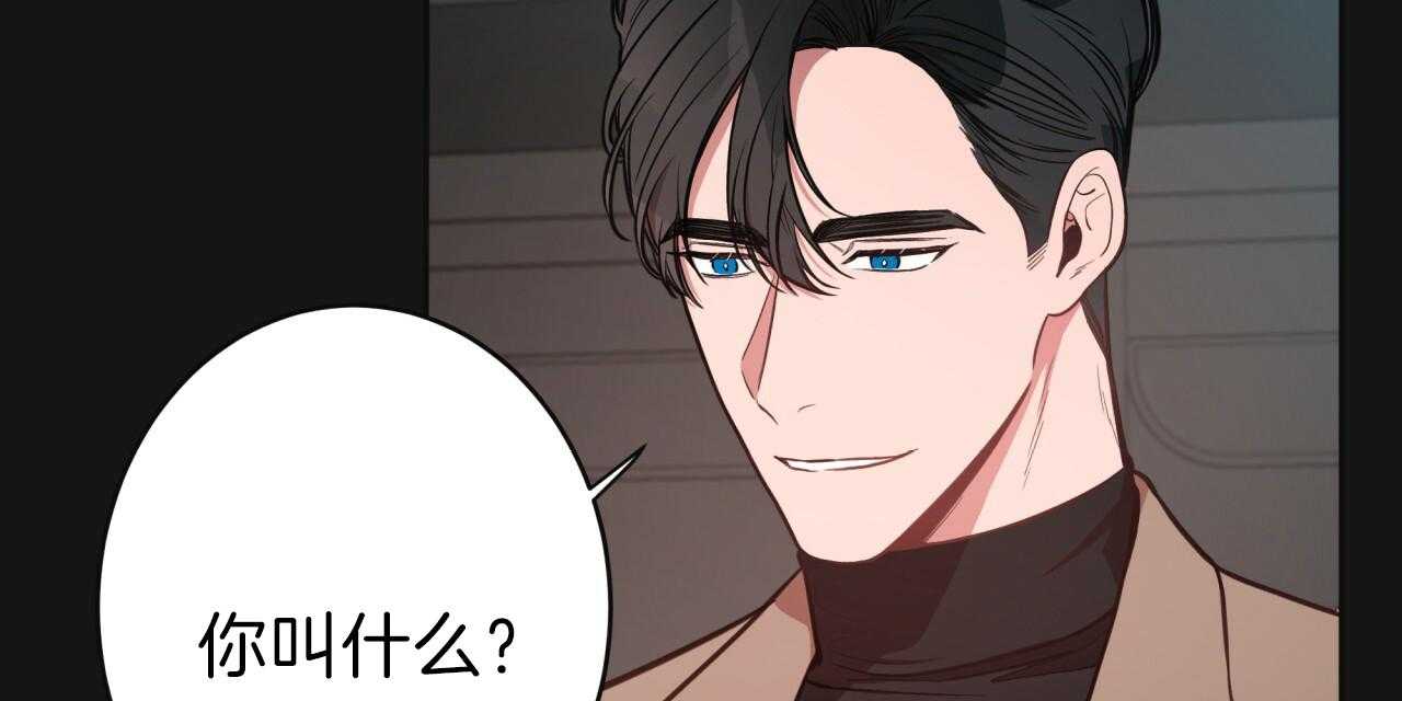 不夜城（共2季）第21话图