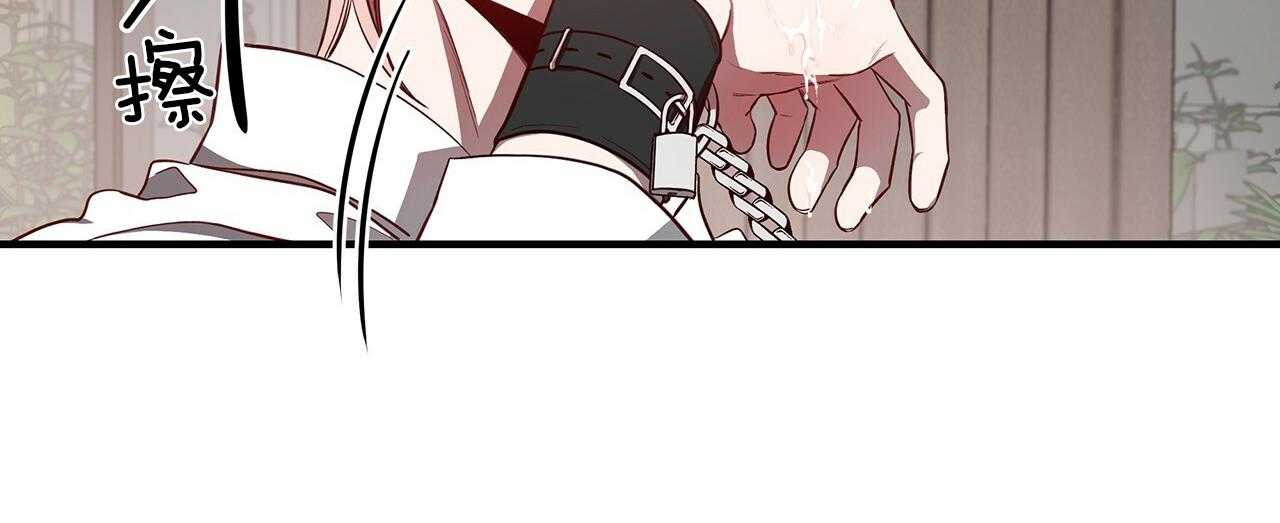 不夜城（共2季） 第58话 第11页