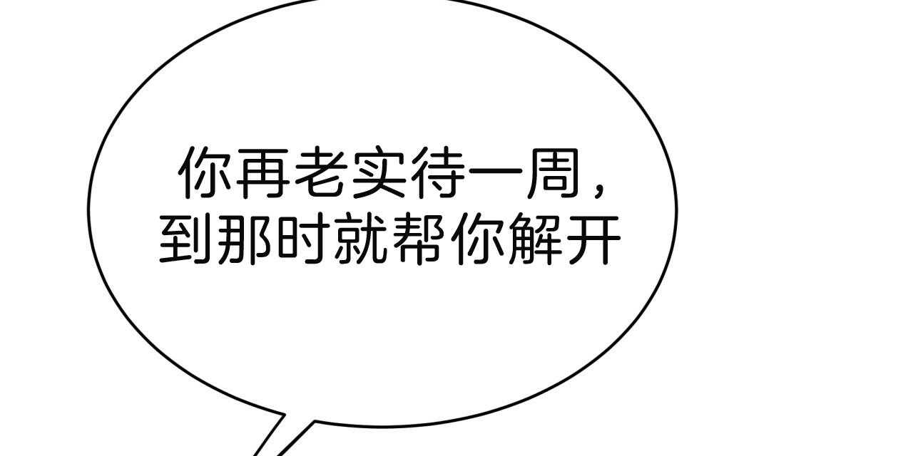 不夜城（共2季） 第61话 第60页