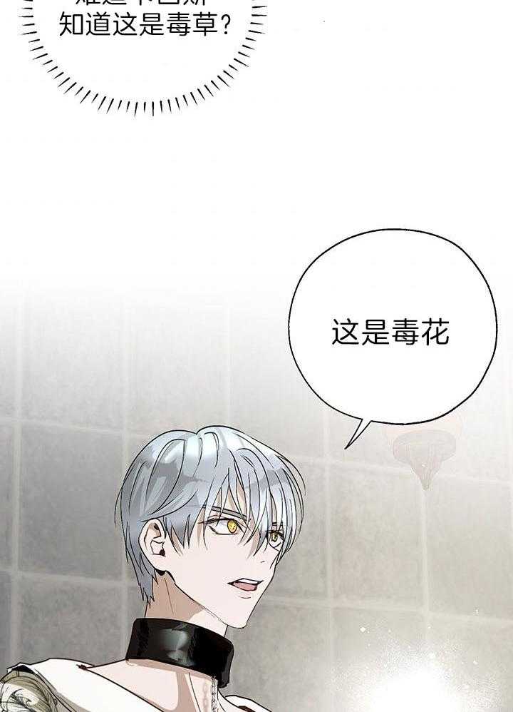 哔-文反派如何自救 第42话 第5页