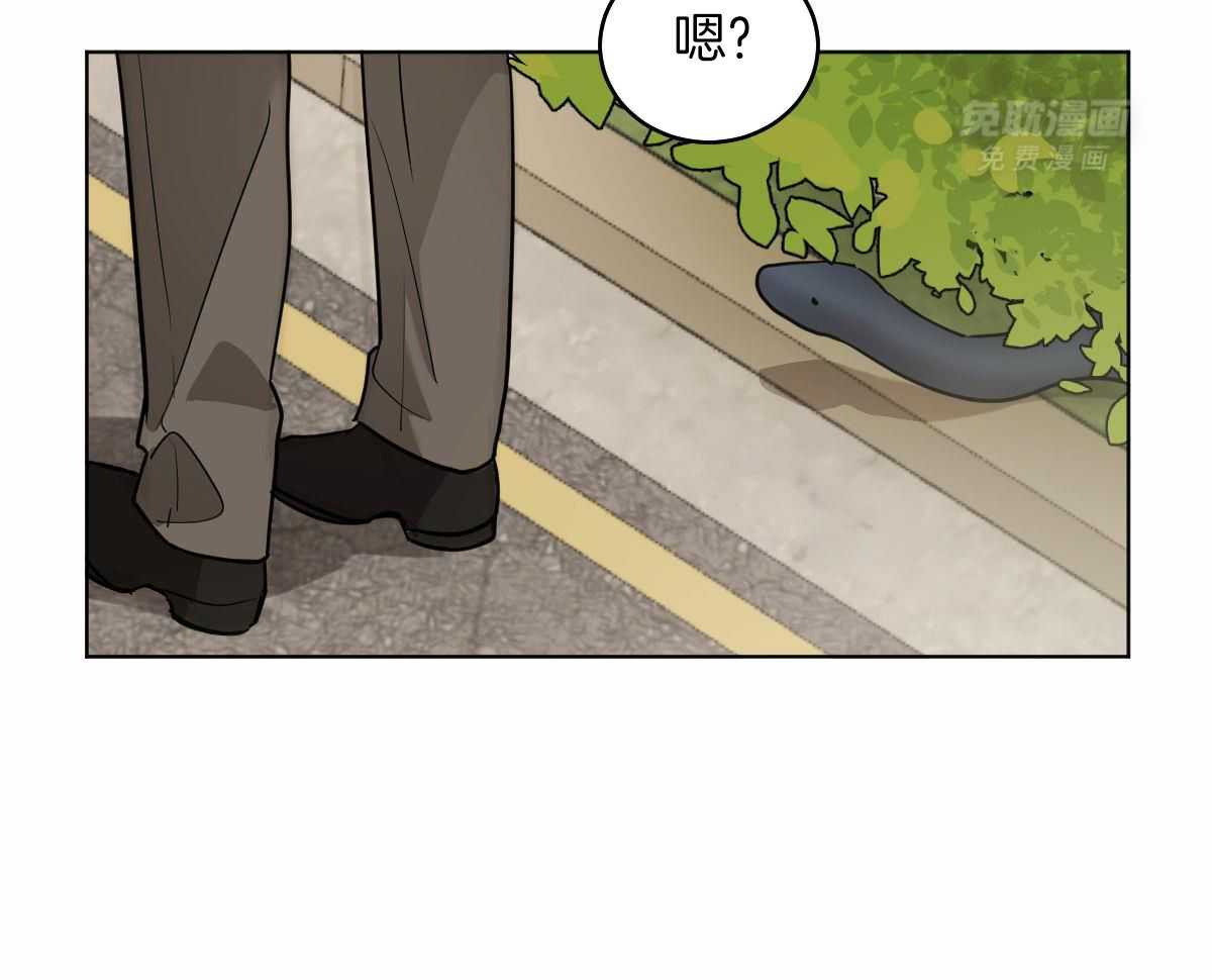 变温禽兽第101话图