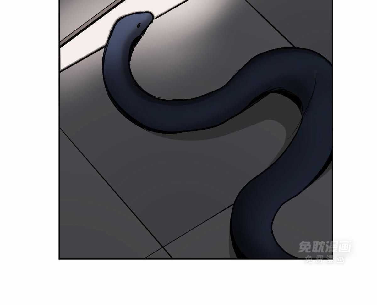 变温禽兽第101话图