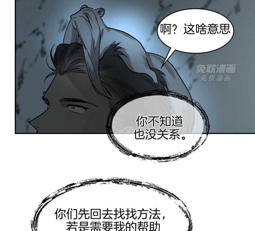 变温禽兽第139话图