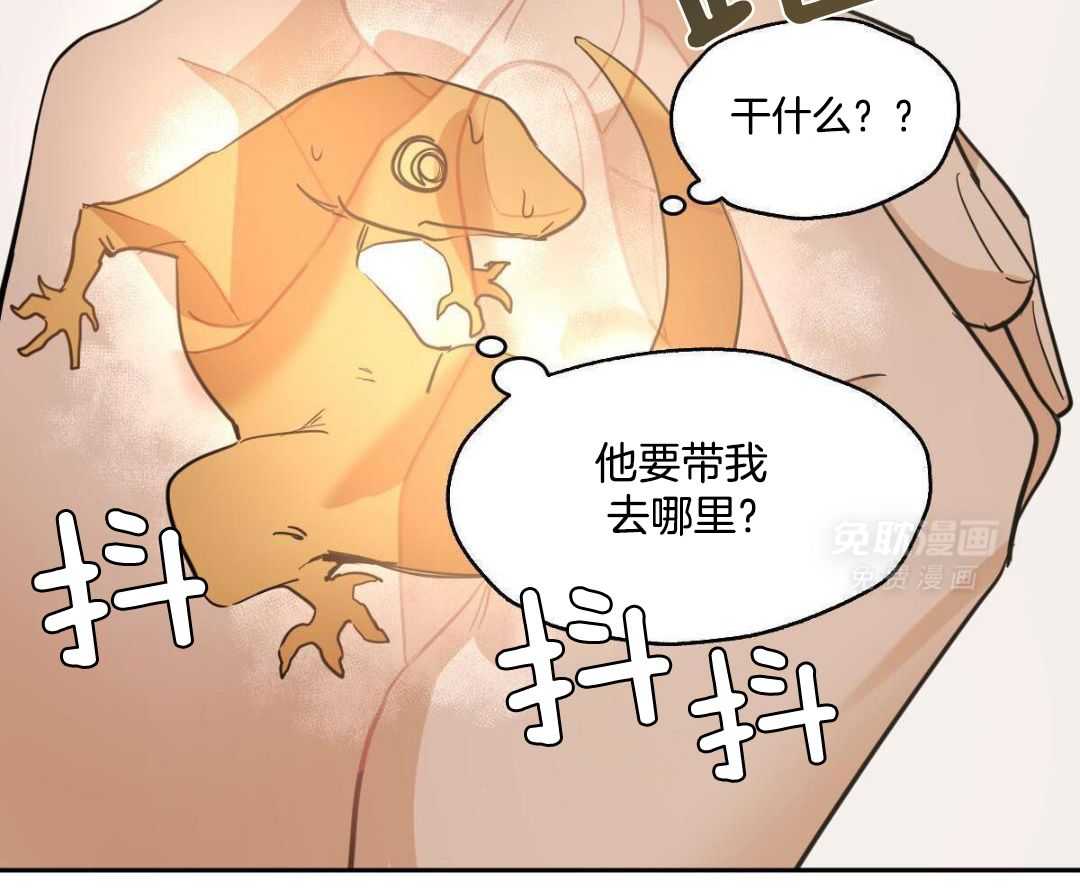 变温禽兽 第149话 第37页