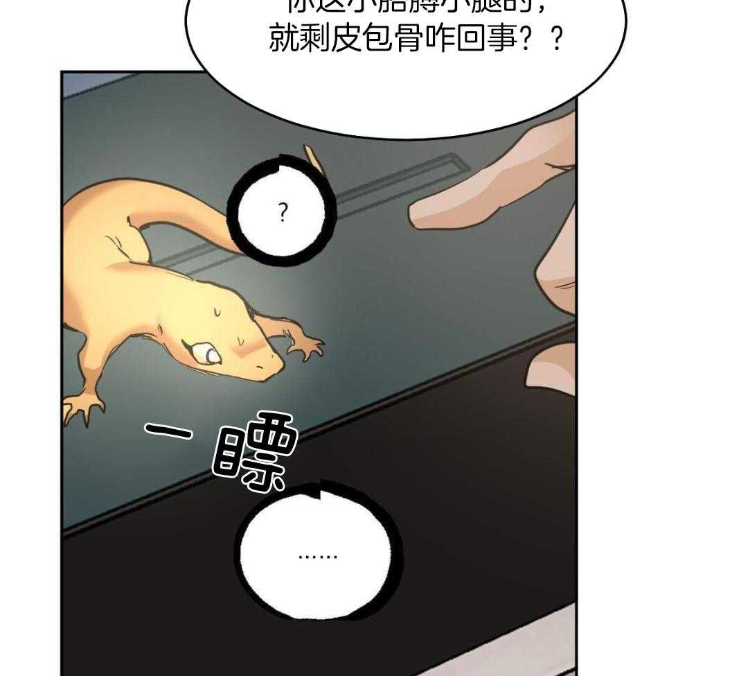 变温禽兽第150话图