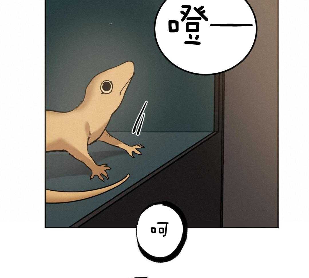 变温禽兽第150话图