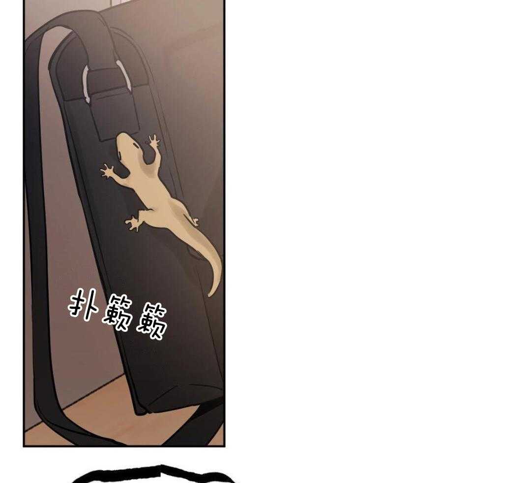 变温禽兽第155话图