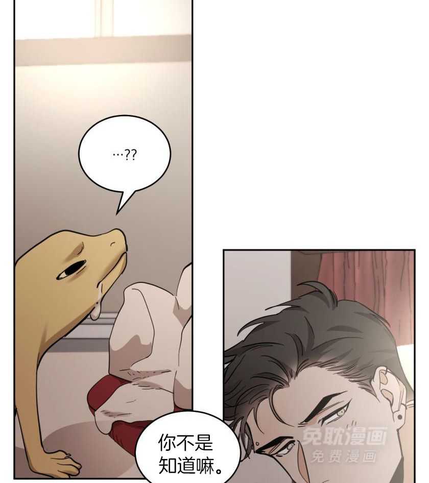 变温禽兽第178话图