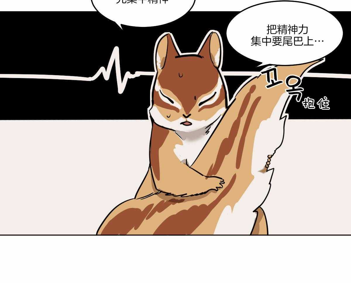 变温禽兽第65话图