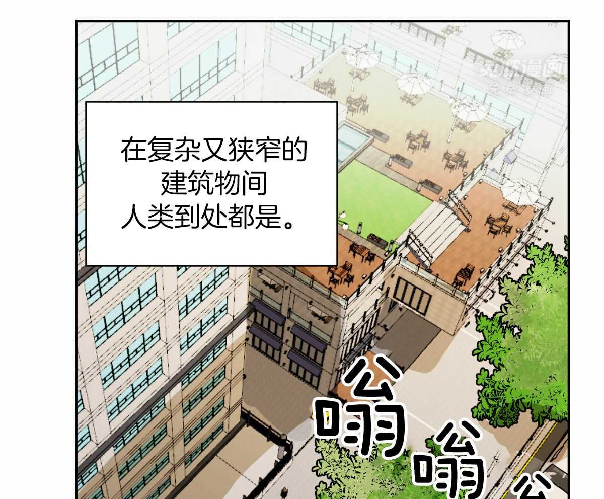 变温禽兽第93话图