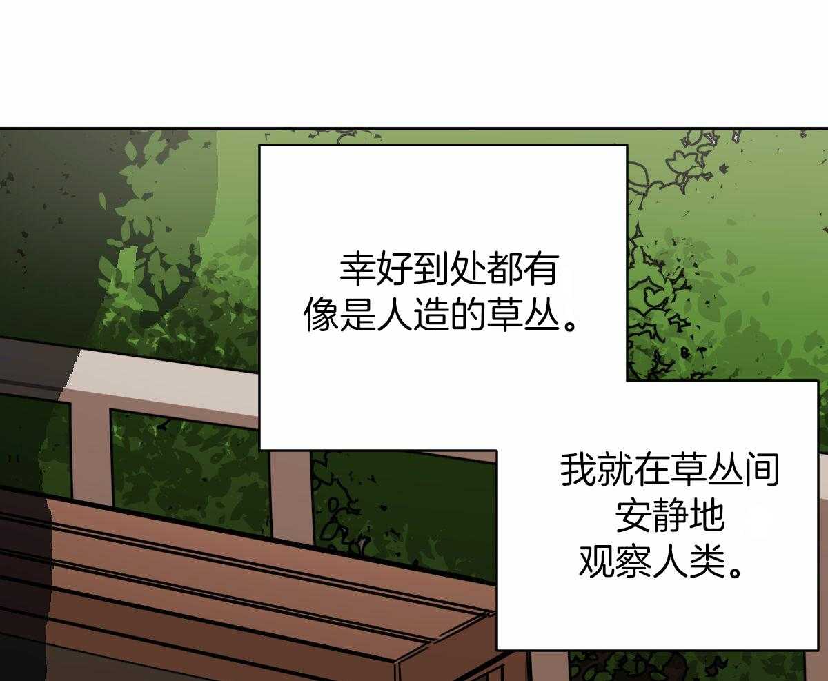 变温禽兽第93话图