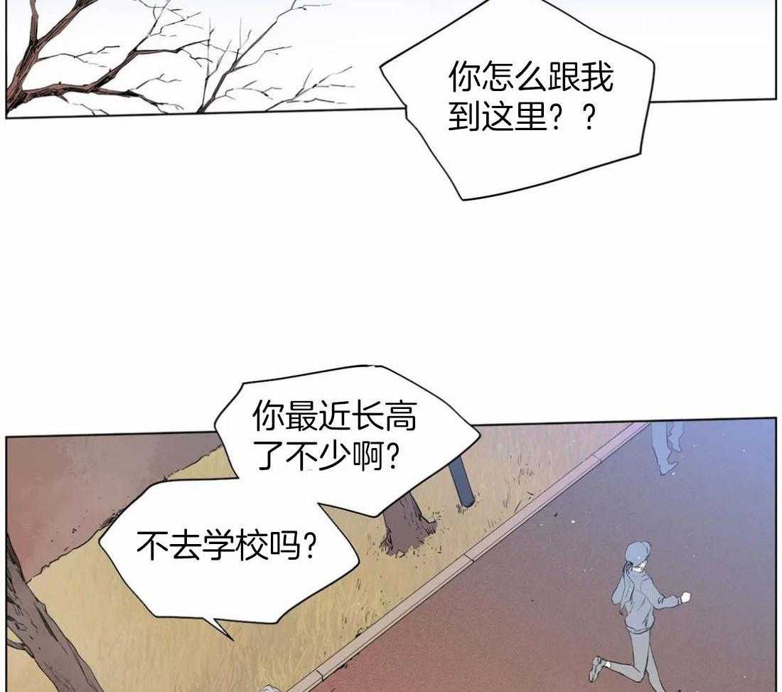 被金主儿子攻略第12话图