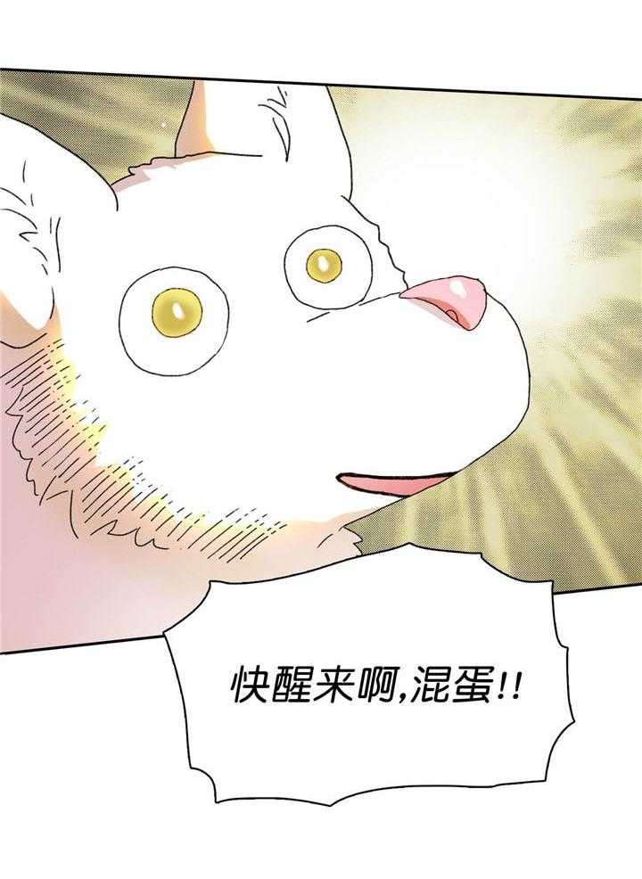 半月书生第14话图