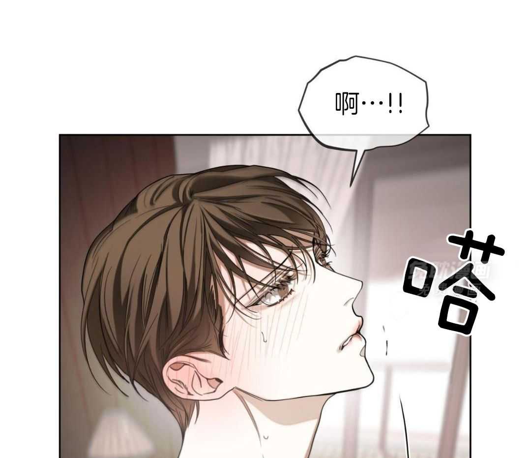 霸总专属求爱攻略第108话图