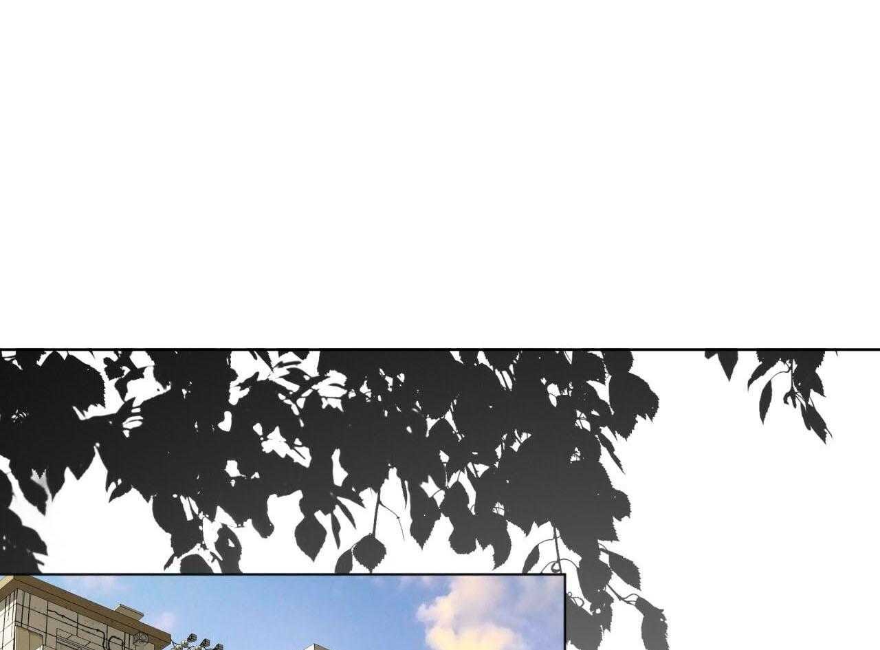 霸总专属求爱攻略第43话图