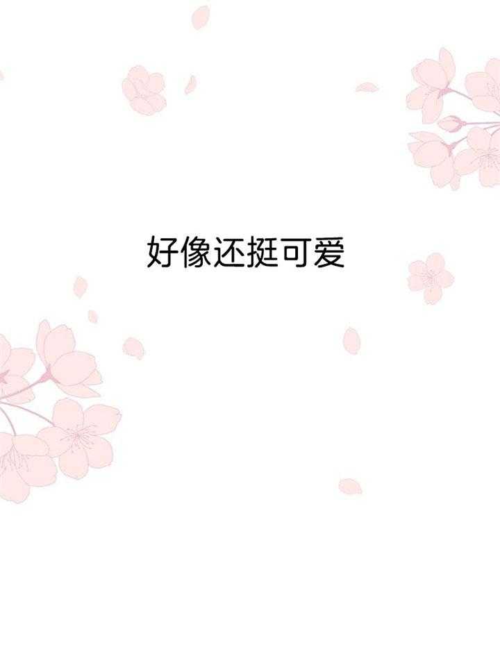 本命和我翻车之后（共2季）第42话图