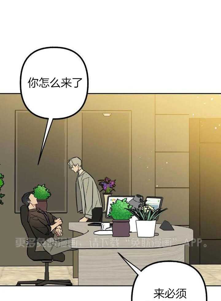 不同顺牌第54话图