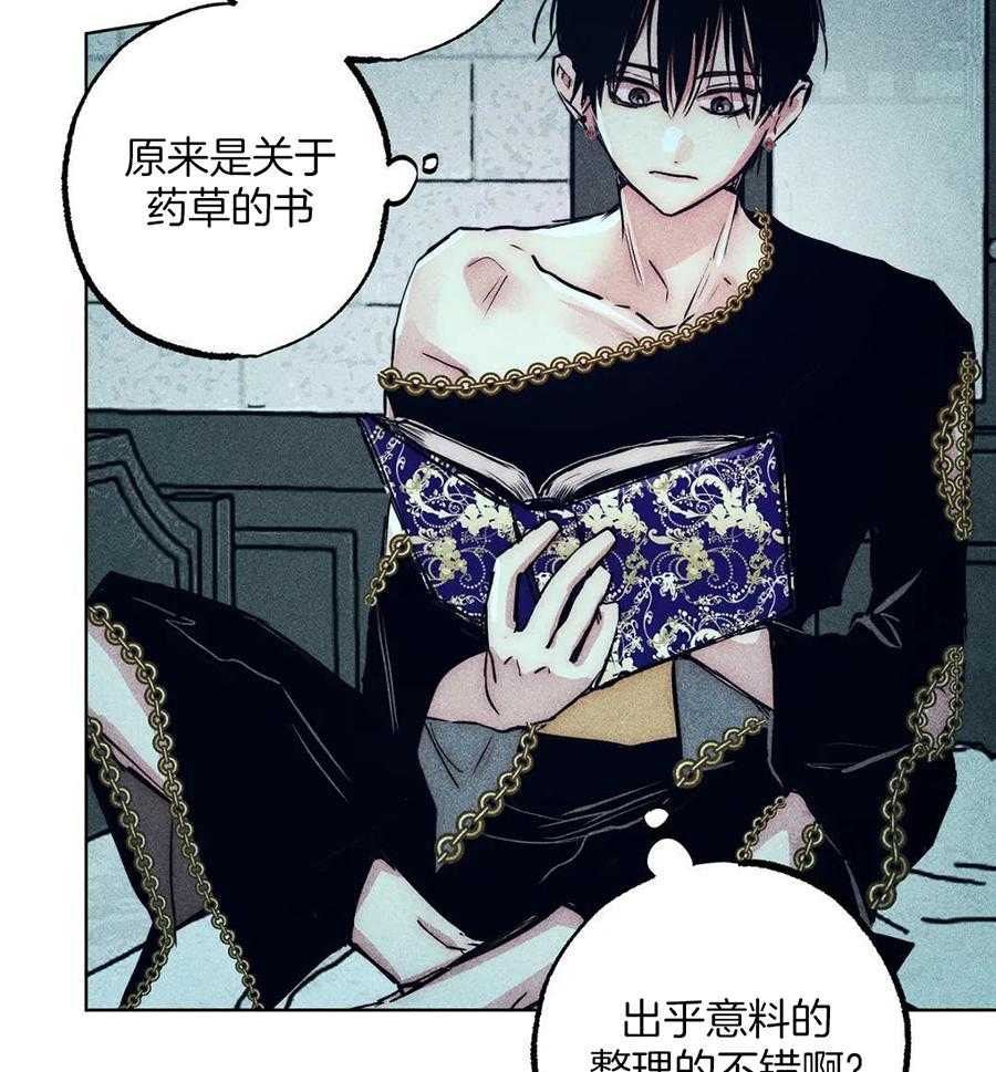 被迫穿成异世神第149话图