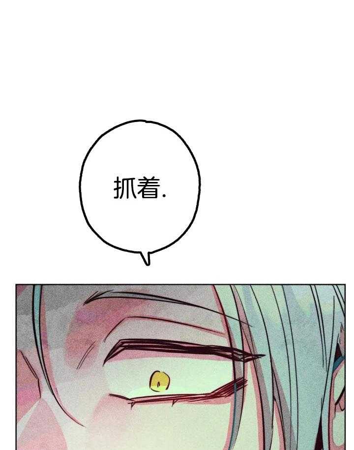 被迫穿成异世神第95话图