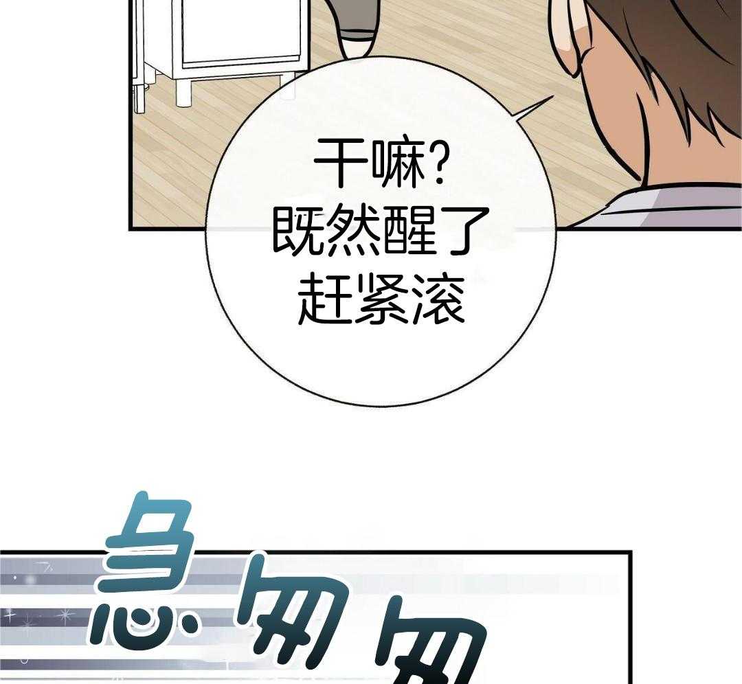 爸比带球死遁了第100话图