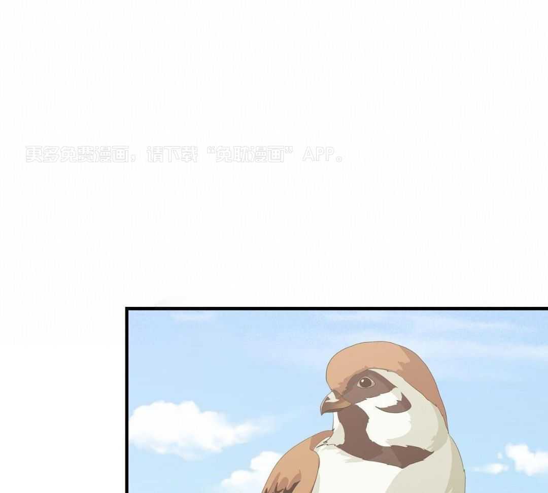 爸比带球死遁了第113话图