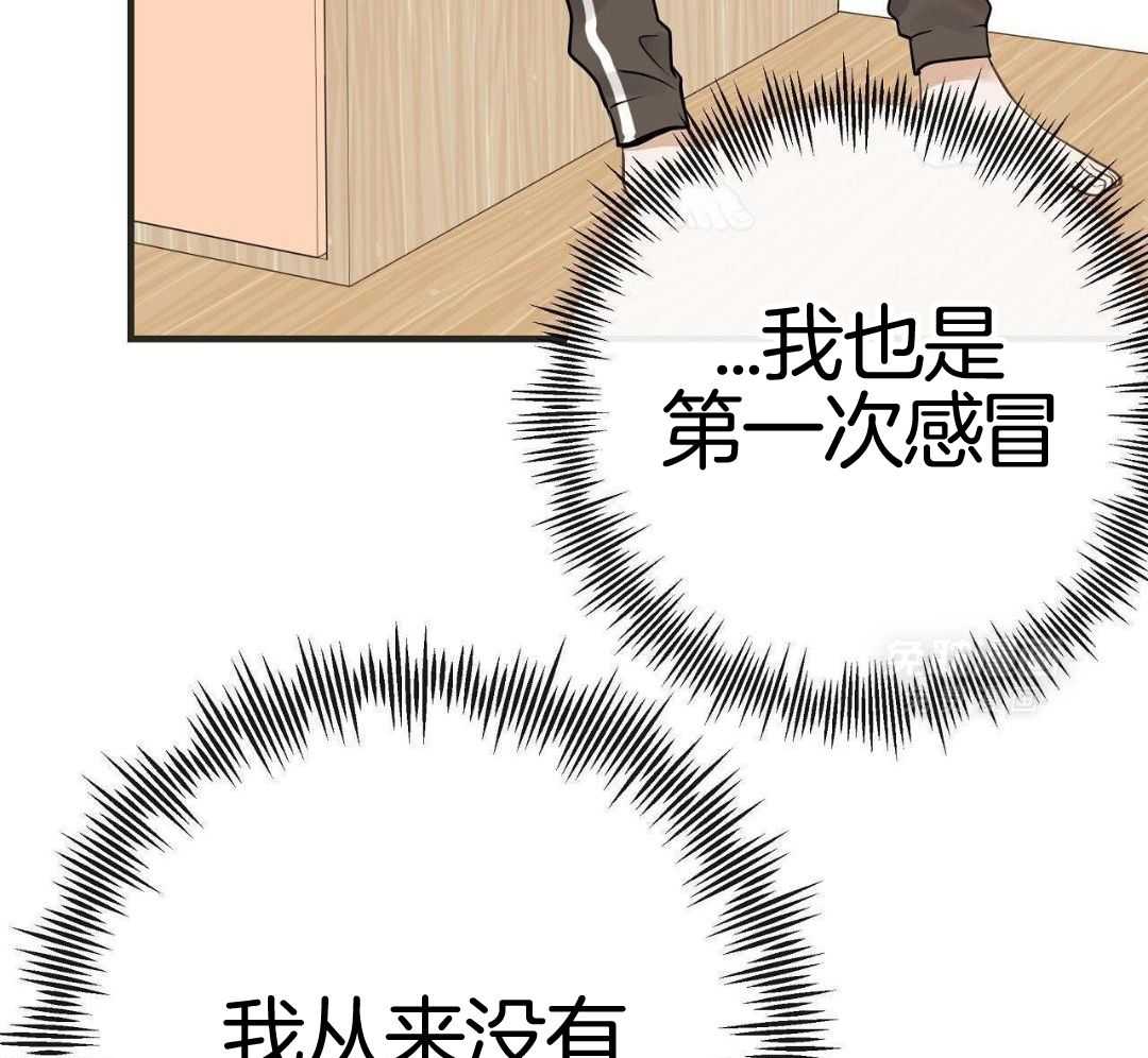 爸比带球死遁了第115话图