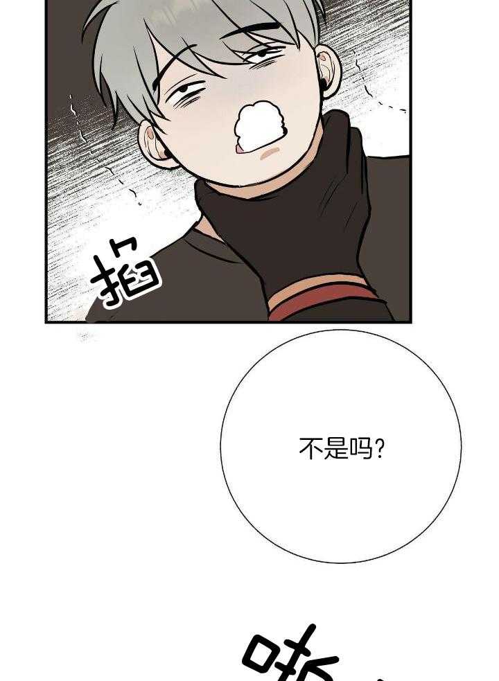 爸比带球死遁了第83话图