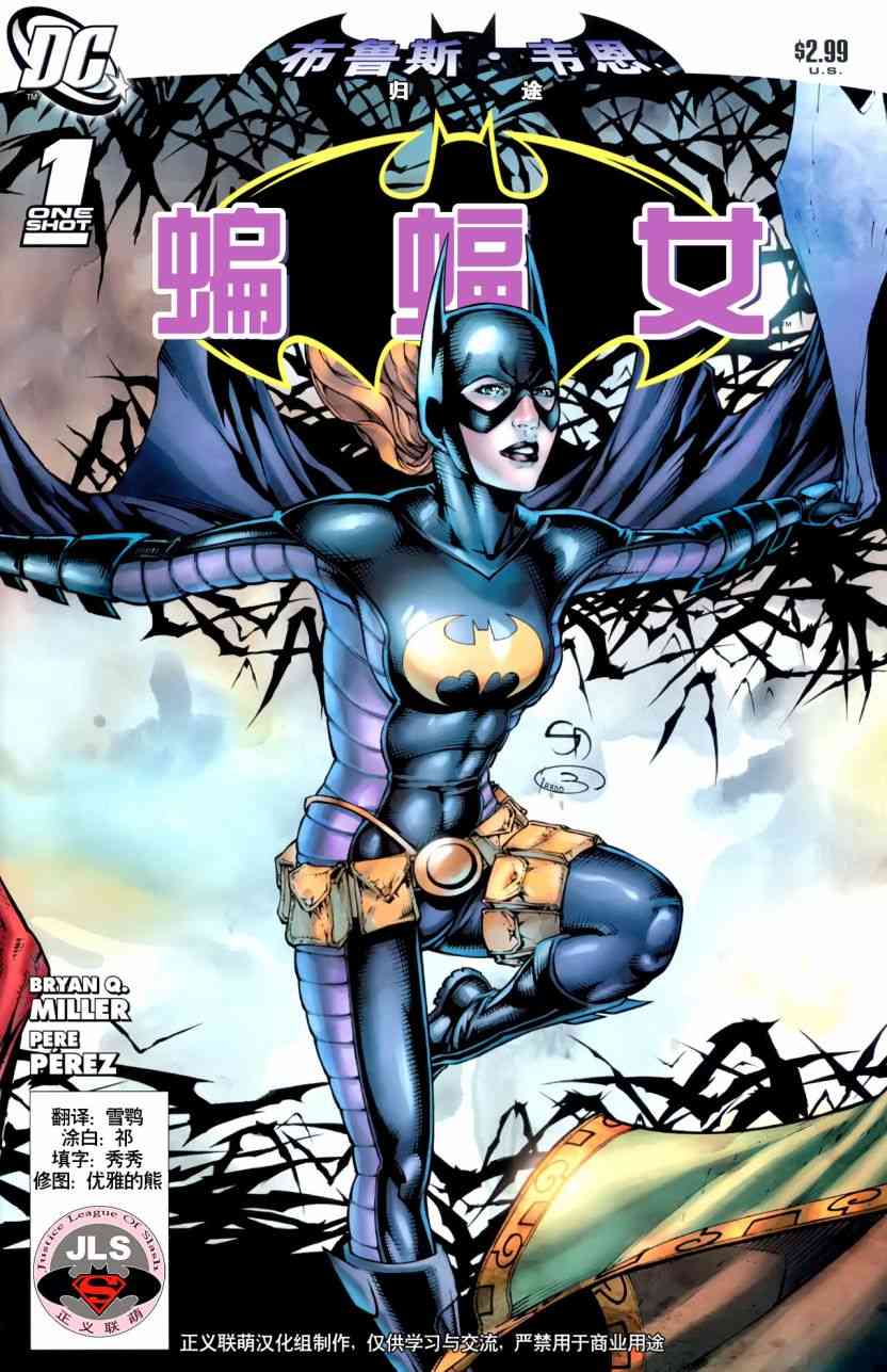 布鲁斯·韦恩-蝙蝠侠归途4卷图