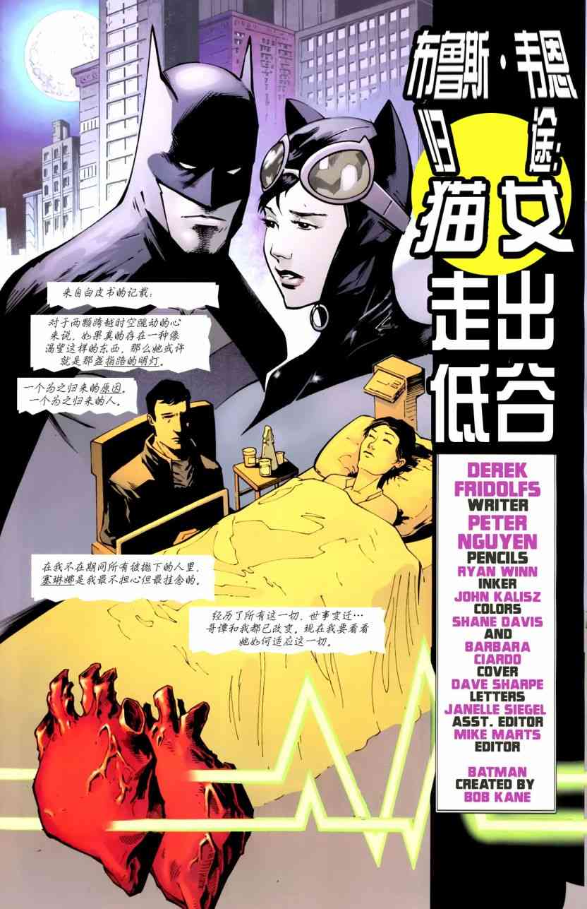 布鲁斯·韦恩-蝙蝠侠归途5卷图