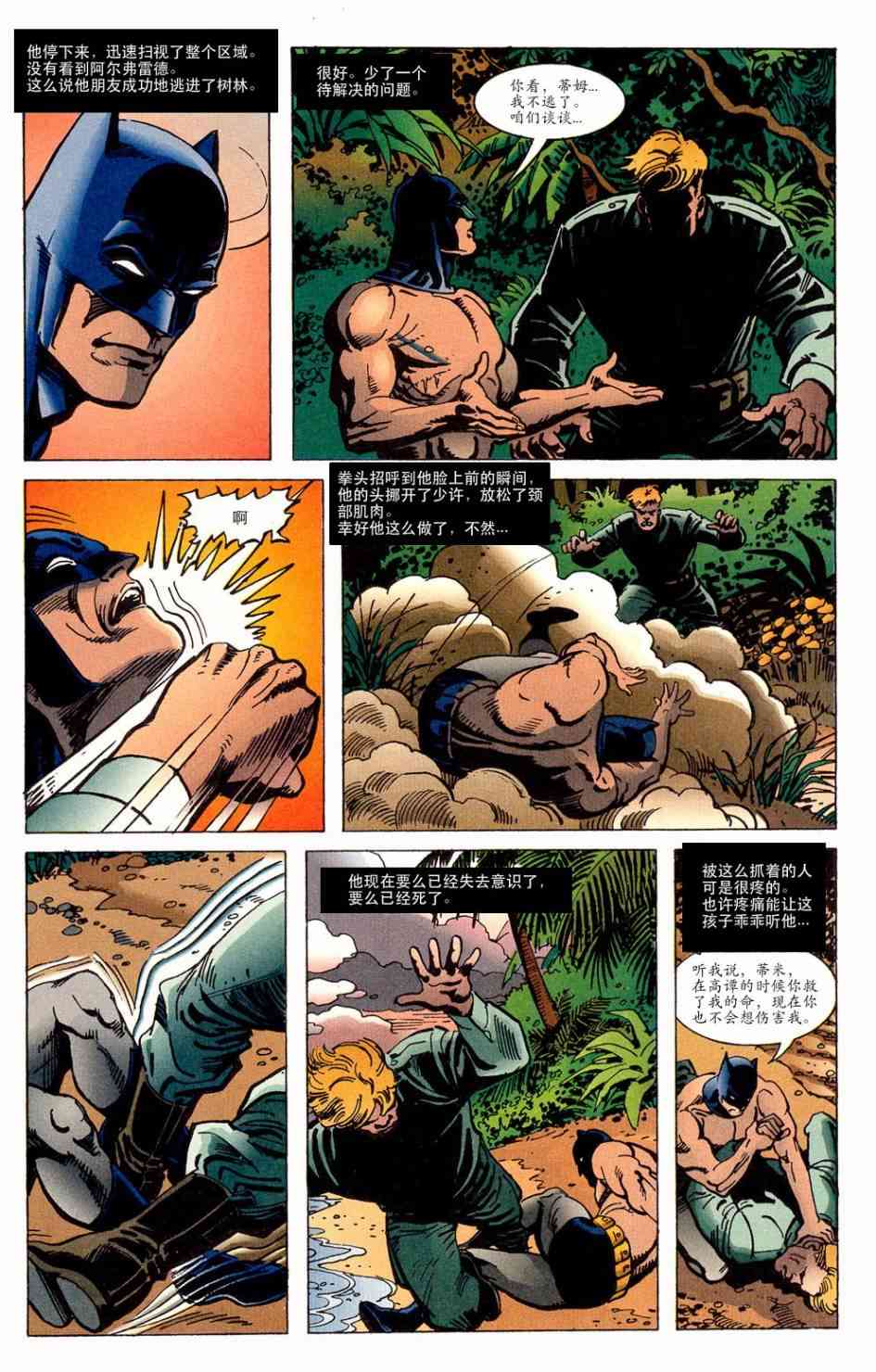 蝙蝠侠暗夜骑士传奇：毒瘾5卷图