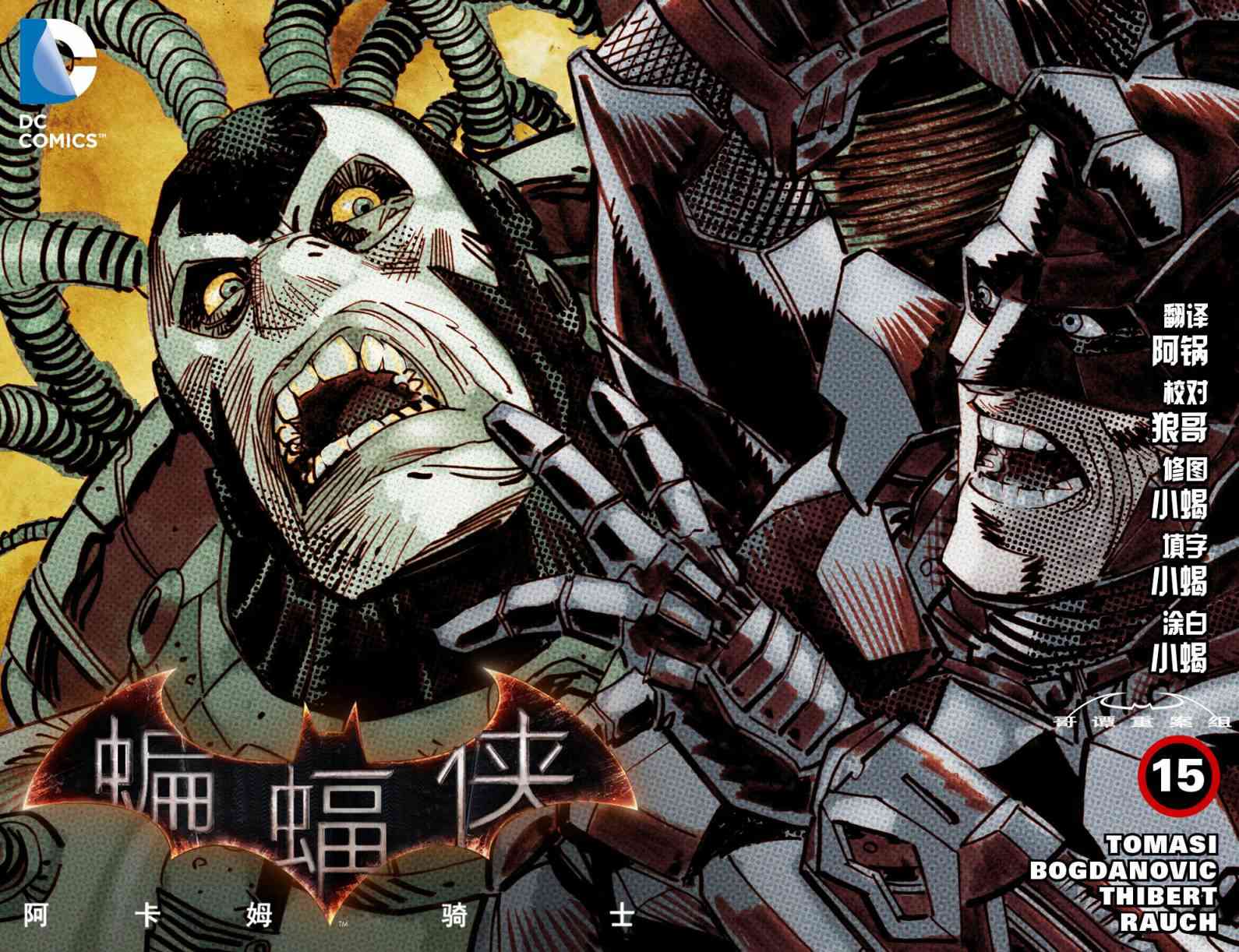 蝙蝠侠：阿卡姆骑士15卷图