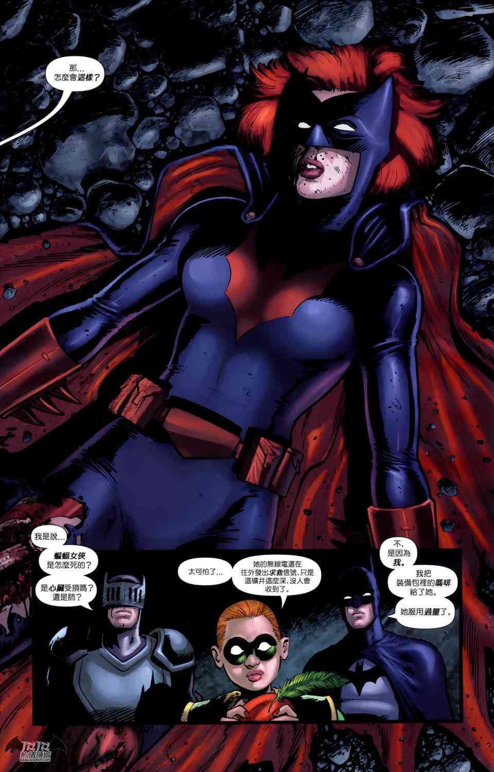 蝙蝠侠与罗宾v19卷图