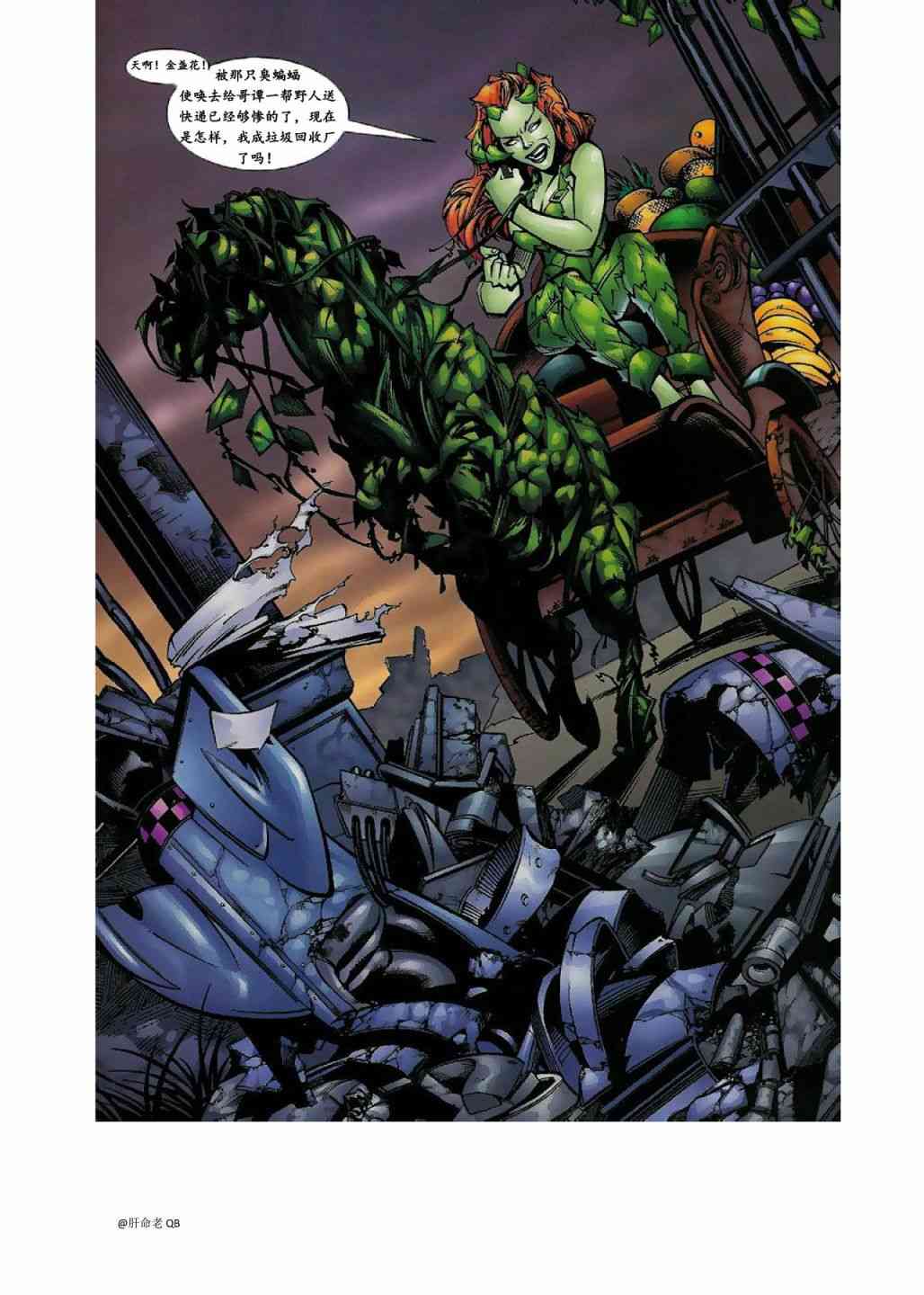 蝙蝠侠：无主之地哈莉奎茵特刊图