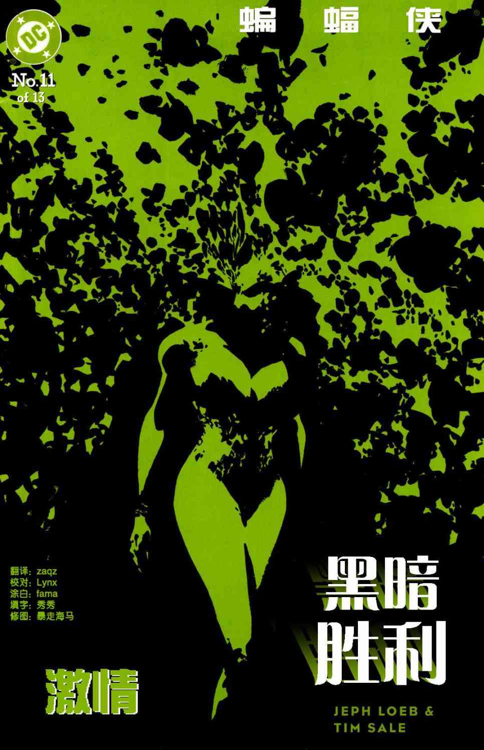蝙蝠侠:黑暗胜利11卷图