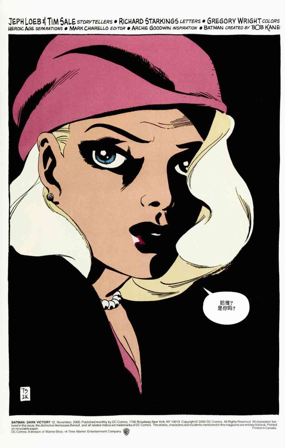 蝙蝠侠:黑暗胜利12卷图