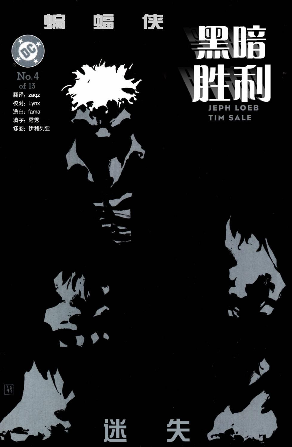 蝙蝠侠:黑暗胜利4卷图