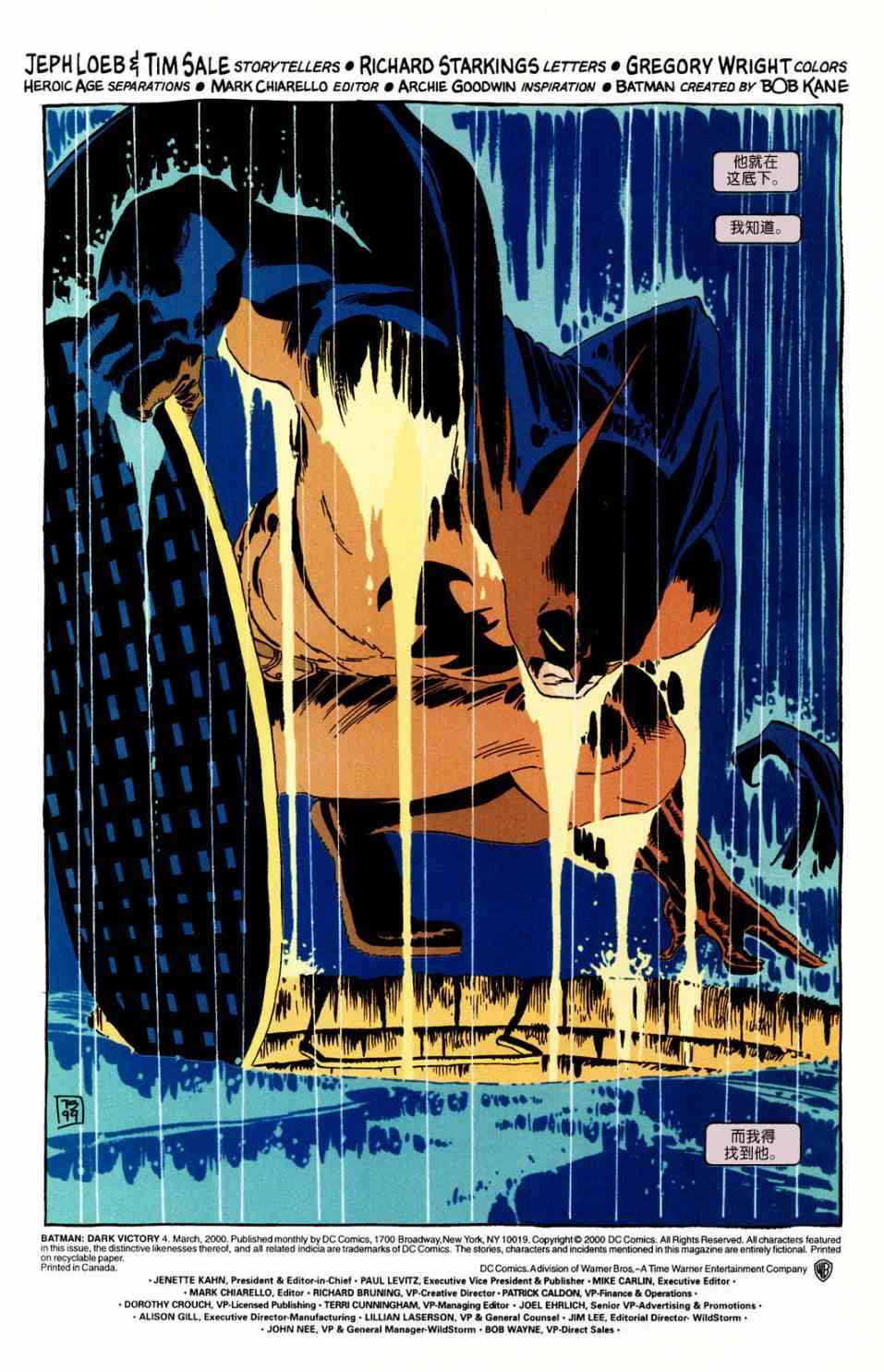 蝙蝠侠:黑暗胜利4卷图