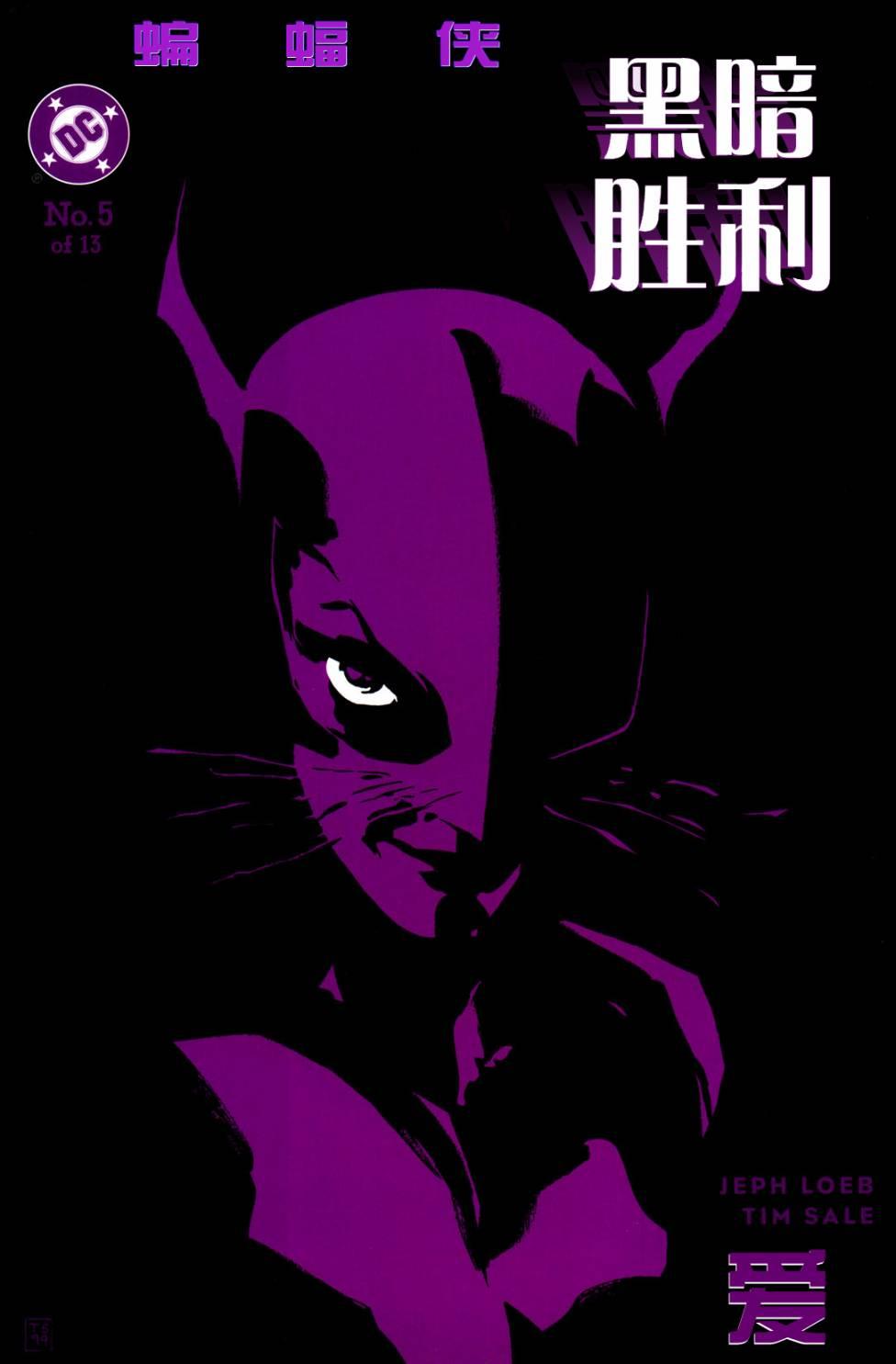 蝙蝠侠:黑暗胜利5卷图